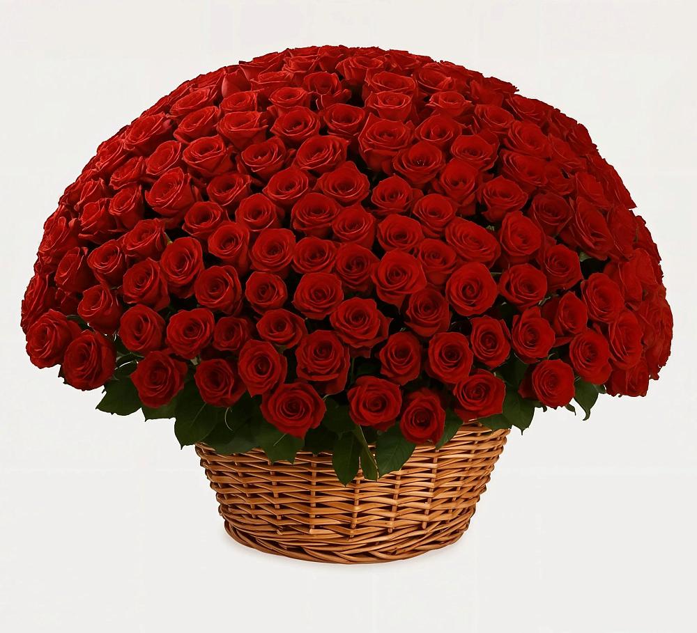 Премиум букет из: Розы в Жилине