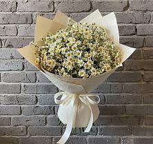 Букет цветов из:  Ромашки #REPLACE_PRED# Жилине