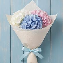 Букет цветов из:  Гортензия в Жилине