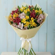 Букет цветов из:  Альстромерии в Жилине