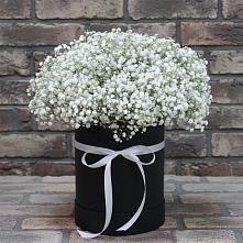 Цветочная композиция из Гипсофила в шляпной коробке в Жилине