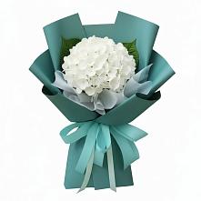 Букет цветов из:  Гортензия в Жилине